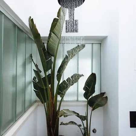 Apartment Relator